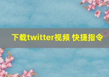 下载twitter视频 快捷指令